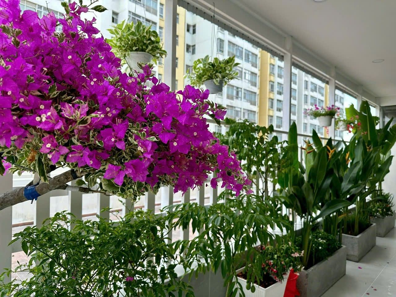 Cần bán nhanh căn hộ sân vườn sky garden 2, PMH, Q7, 115m2, 3PN nhà mới đẹp, giá chỉ 7,4 tỷ 