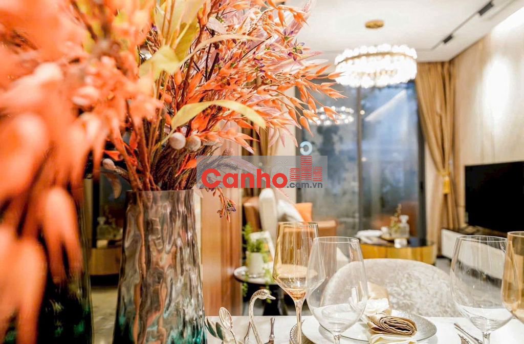 căn hộ cao cấp đầu tiên tại cần thơ