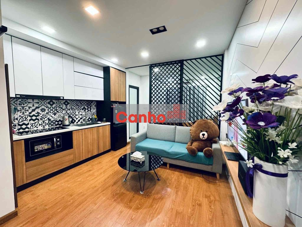 chính chủ bán căn 52m2-2 ngủ Tôn đức Thắng- đủ đồ- nhỉnh 1 tỷ