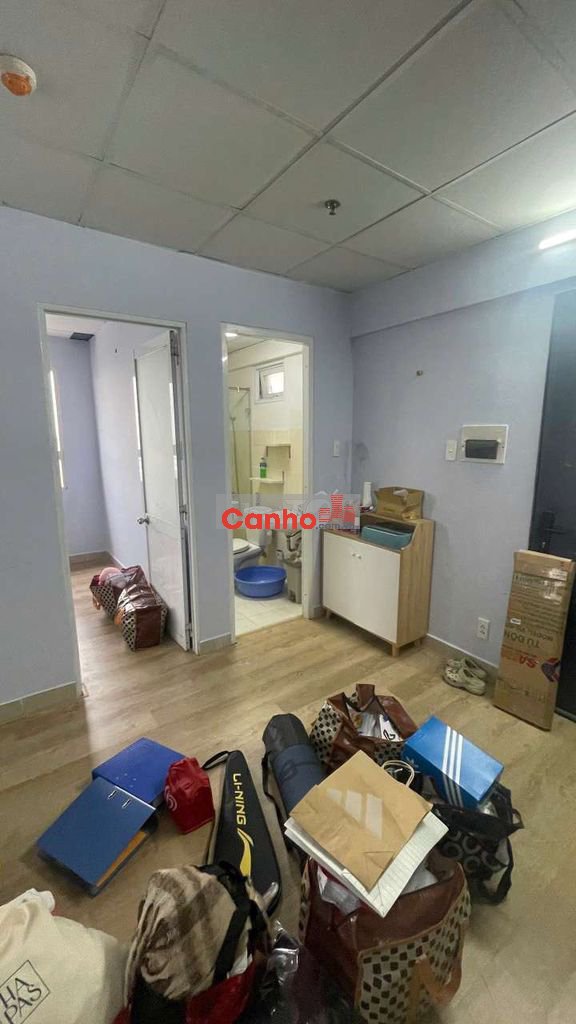 Thang máy Becamex Việt Sing: 675 triệu. Toàn quốc mua được