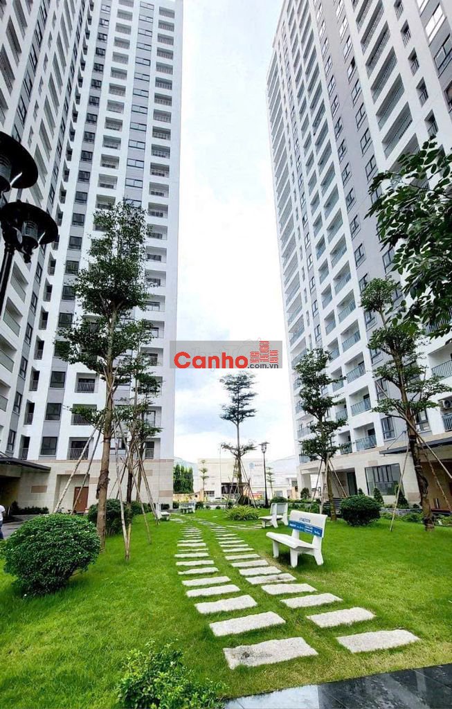 BÁN CĂN HỘ IRIS TOWER CHUNG CƯ HÒA BÌNH-DT GẦN 60M2 -TP THUẬN AN BD