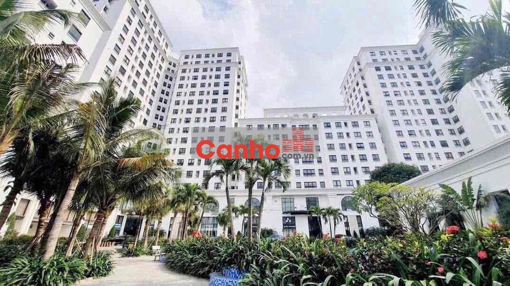 Căn hộ Ecocity