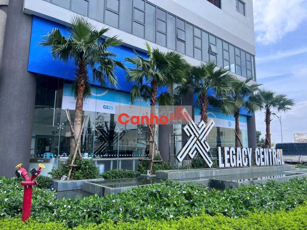 KẸT BANK CẦN BÁN GẤP CĂN GỐC 2PN2WC LEGACY ĐÃ NHẬN SỐ HỒNG GIÁ ƯU ĐÃI