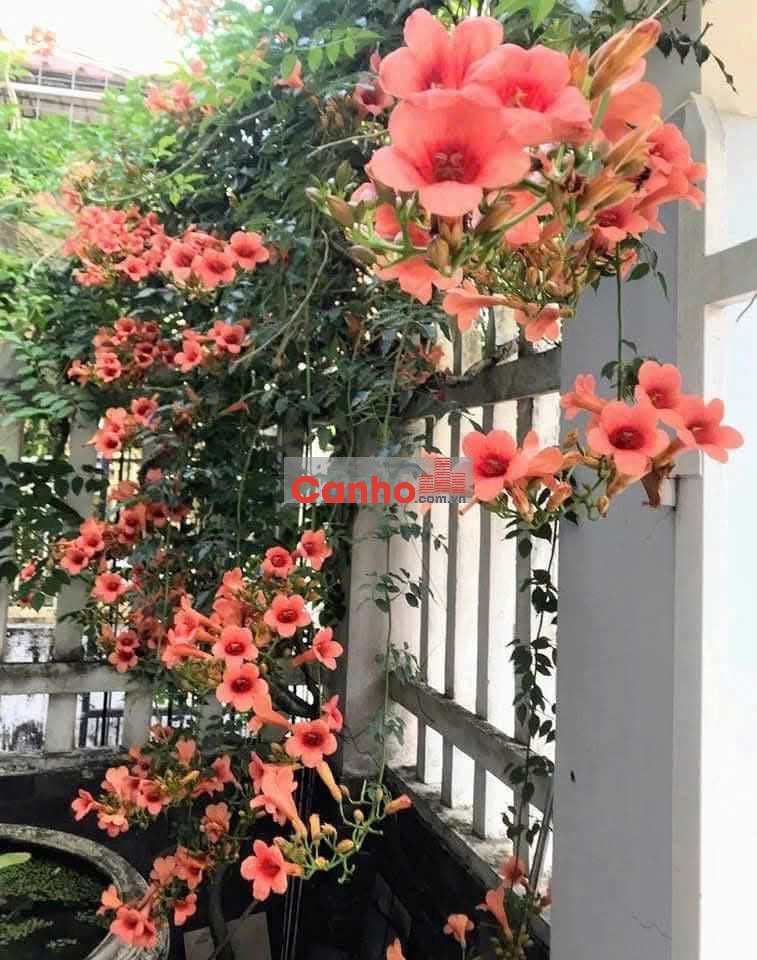 BÁN NHÀ ĐẸP 247M2 - TÂN HƯNG QUẬN 7 CHỈ 7,3 TỶ