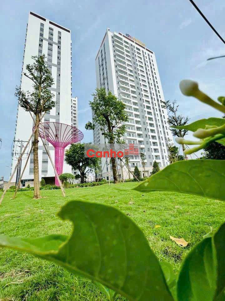 (6980) iris Tower, 55,6 m² sổ hồng 1, 420 tỷ. Nhận ký gửi