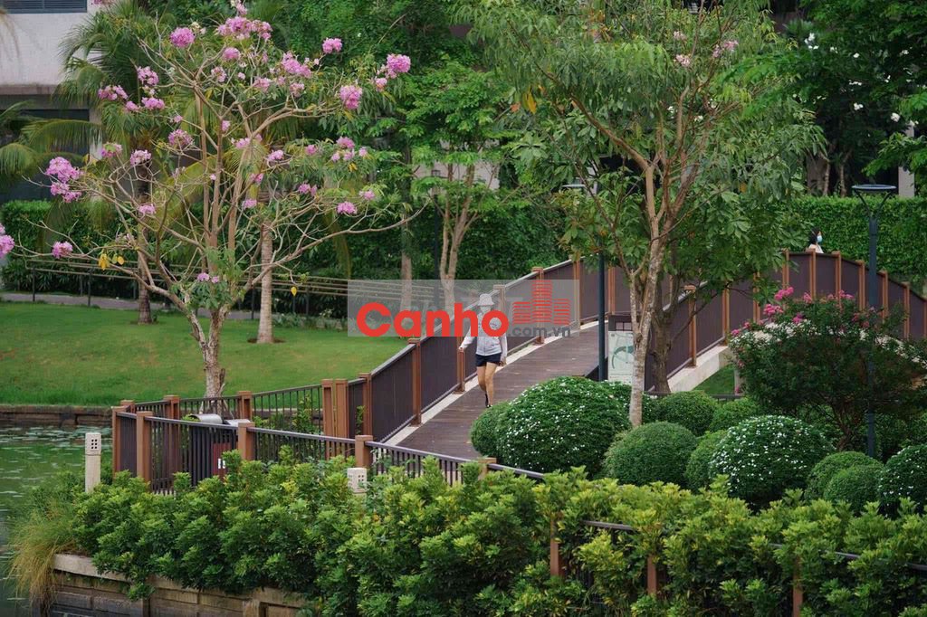 Căn góc Trellia Cove chiết khấu 11%