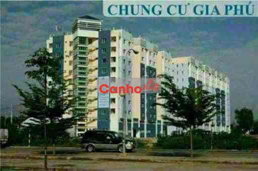 CẦN BÁN GẤP CĂN HỘ ĐẸP CHUNG CƯ GIA PHÚ BÌNH TÂN