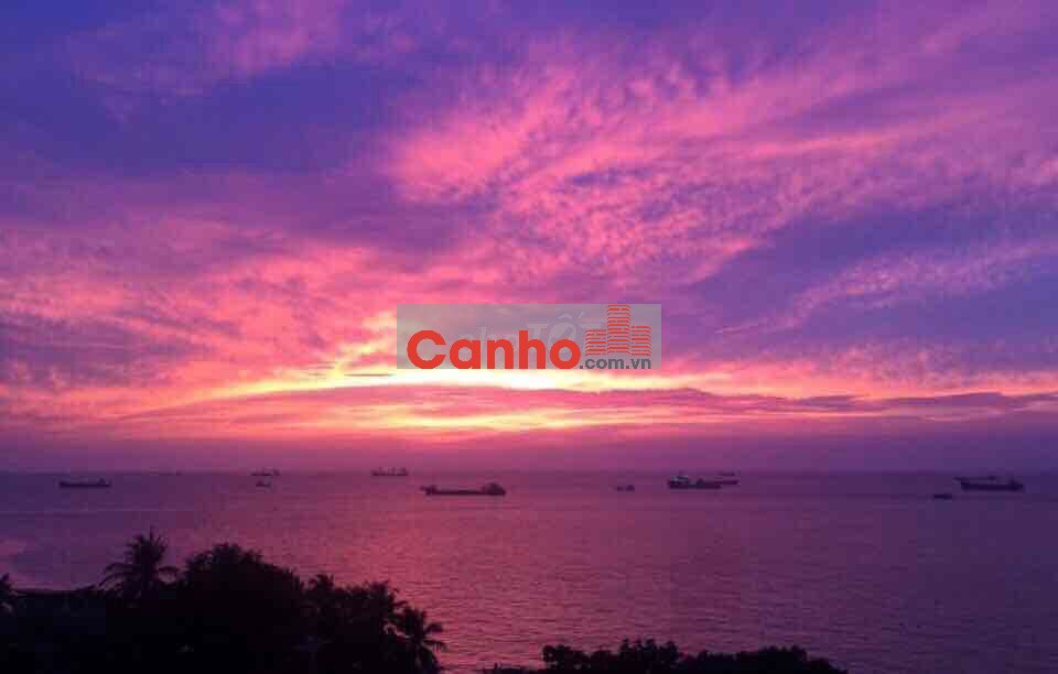 bán căn hộ view biển, qua đường là biển cách biển dưới 200m