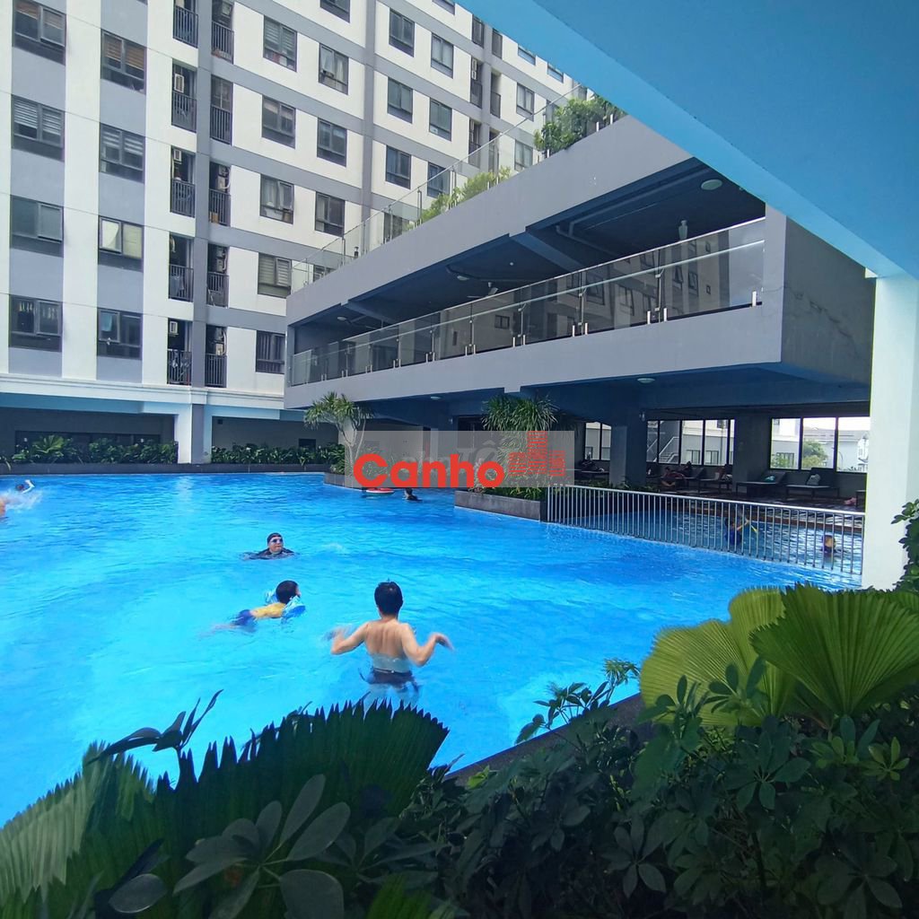 Rổ hàng bán intela 50m giá 1950, 55m giá 2150, 78m 2850, 128m 3600