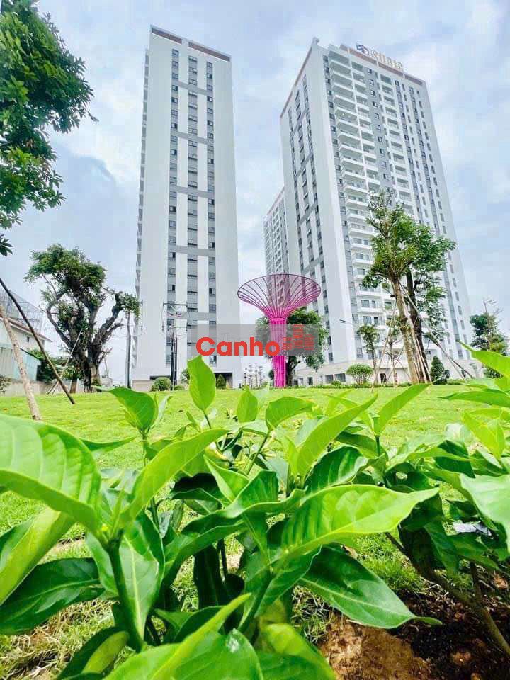 (7013) iris Tower, 55 m2, bao sổ hồng: 1,420 tỷ. Nhận ký gửi