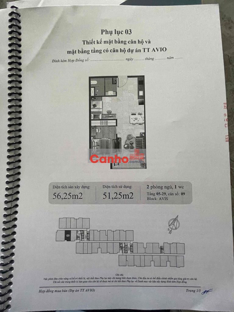 Chính Chủ Bán Gấp Giá Tốt Avio