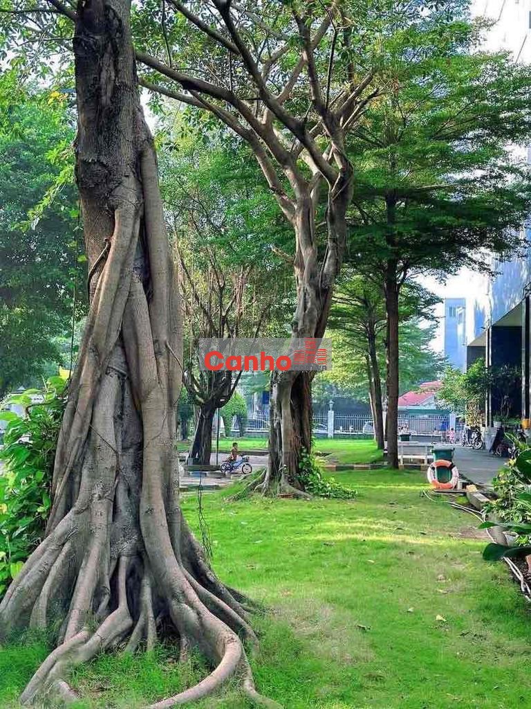 căn Shophouse view sân mát 88m2 3pn, Gò Vấp