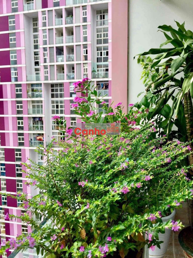 Chính chủ bán căn 4PN usilk city hướng Nam