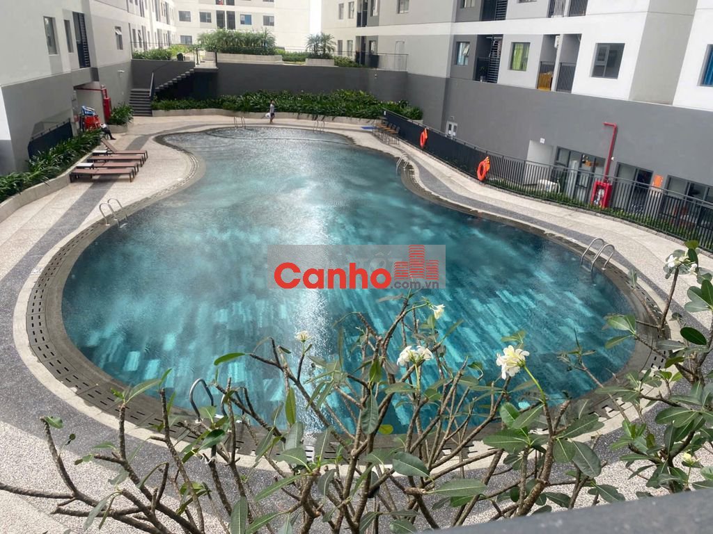 Legacy Central, cần bán căn studio 31,3m2 giá 1ty120, view hồ bơi, HCM