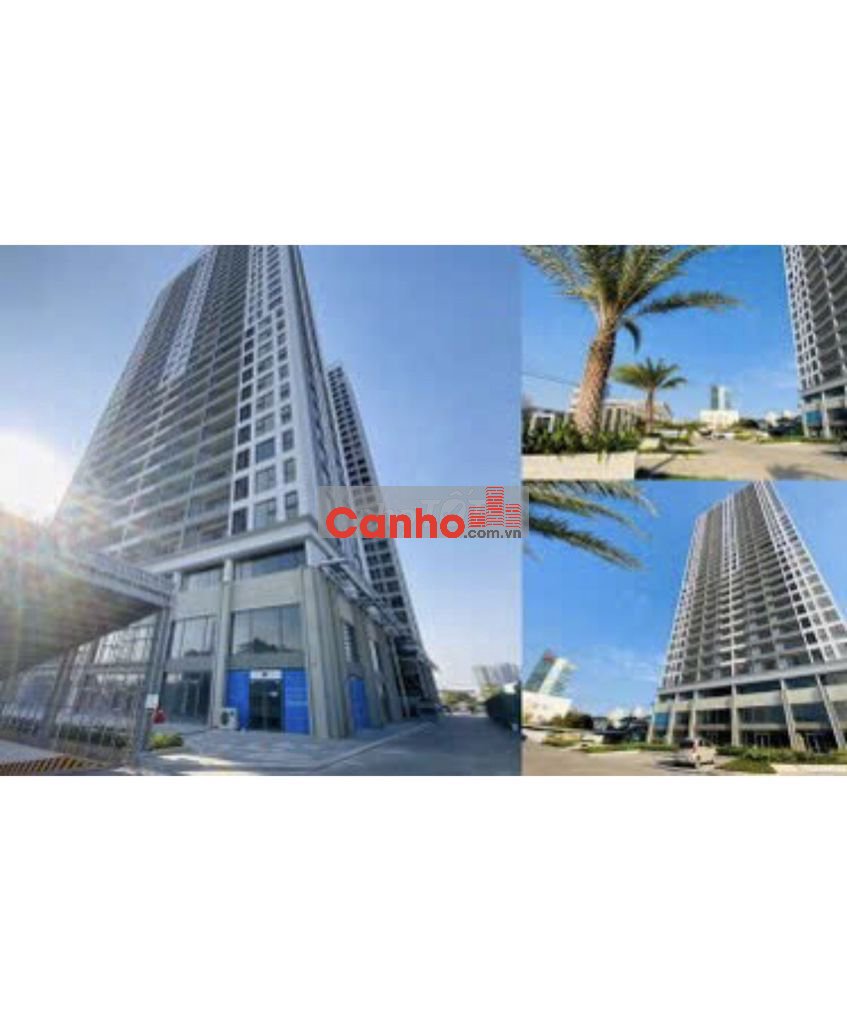 CĂN HỘ LAVIDA PLUS – VIEW HỒ BƠI, GẦN RMIT 🔥