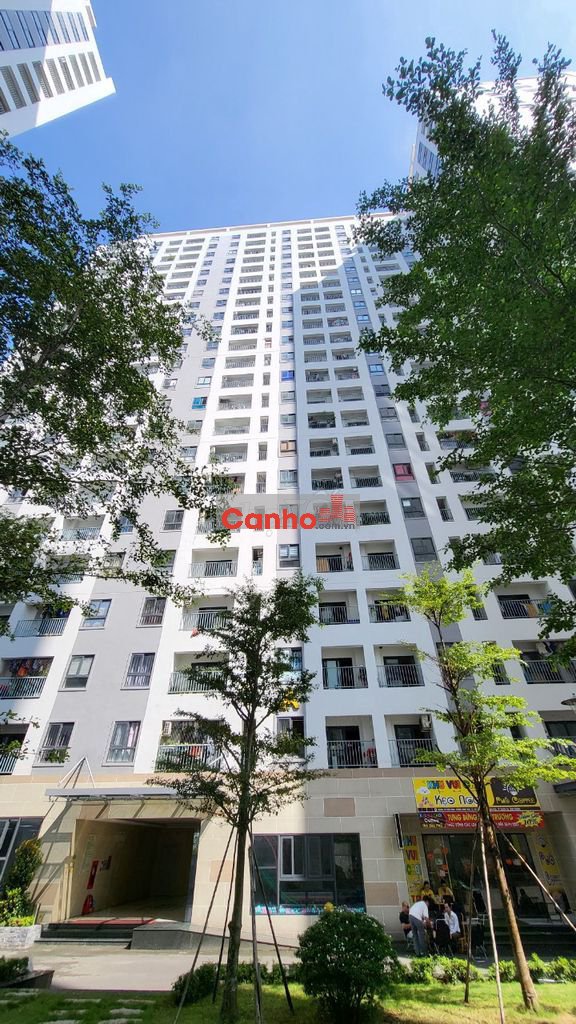 Bán căn hộ chung cư chính chủ tại Iris Tower, 1,29 tỷ, 45 m2