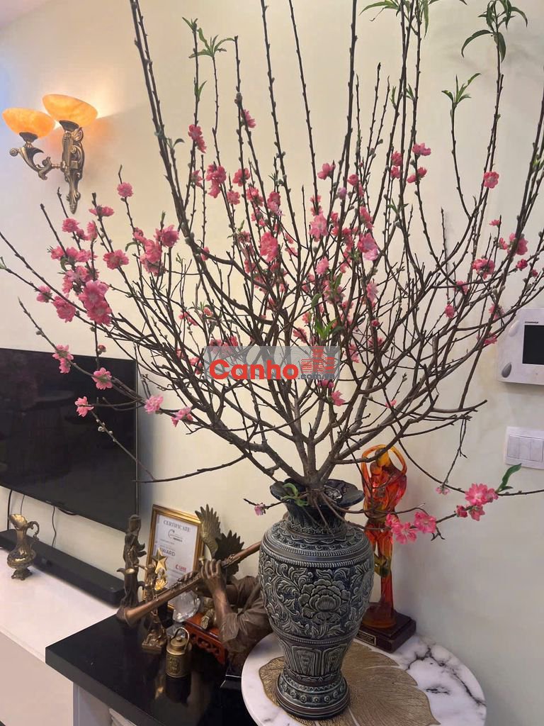 prince 3pn full, góc 2 view cần bán hoặc thuê