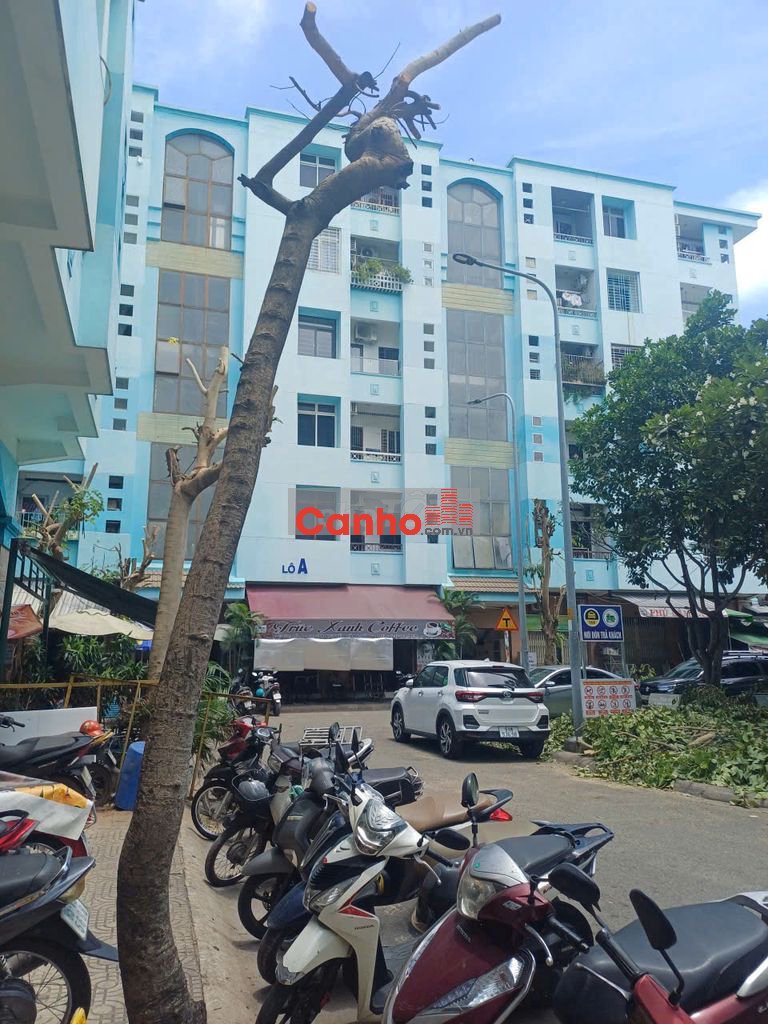 CC 336/24 Nguyễn Văn Luông, P12, Q. 6 DT 56m2, 1PN, 1WC- Căn góc.