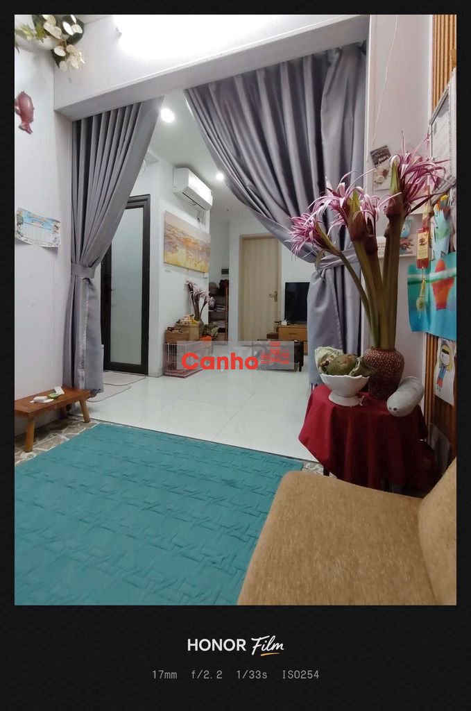 penthouse Chung cư mini
