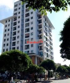 Bán gấp chung cư 312 Lạc Long Quân, quận 11( cũ), 65m2, NTDT sổ hồng
