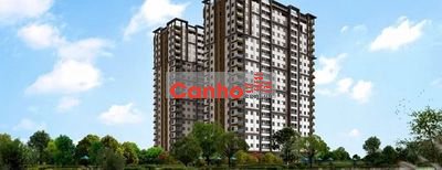 Căn hộ Docklands, 99 Nguyễn Thị Thập, Q.7, 73m2, 2pn, 4.9 tỷ